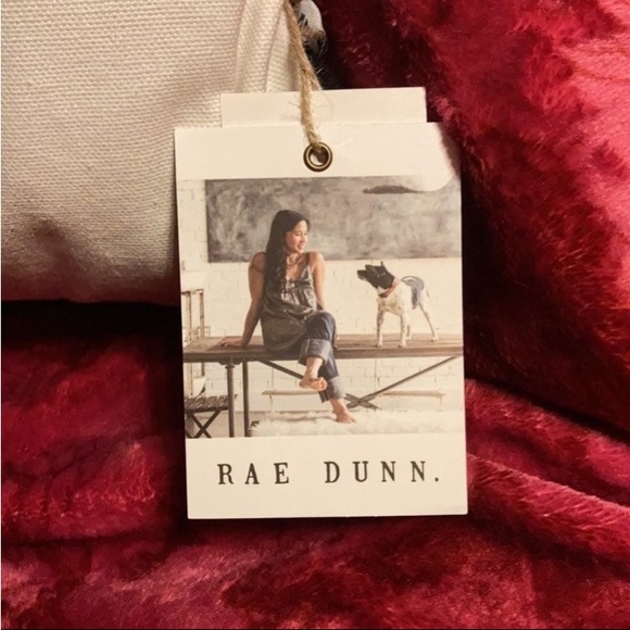 1 Rae Dunn double sided Spooky Bats pillow *FIRM PRICE* - Picture 8 of 8